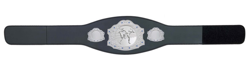 SILVER CHAMPIONSHIP BELT - XXLMIDI/S/THAIBOXS - AVAILABLE IN 4 LEATHER COLOURS SILVER CHAMPIONSHIP BELT - XXLMIDI/S/THAIBOXS - AVAILABLE IN 4 LEATHER COLOURS